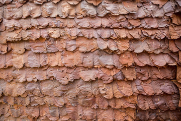 Dry brown leaf panel