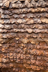 Dry brown leaf panel