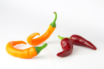 Hot chili pepper dance