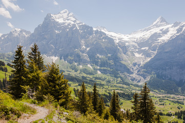Grindelwald, Dorf, Wanderweg, Blumenpfad, Grosse Scheidegg, Wetterhorn, Grindelwaldgletscher, Alpen, Berner Oberland, Sommer, Schweiz