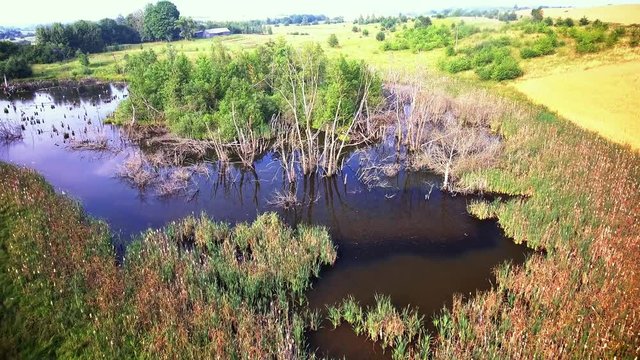 aerial view of swamp