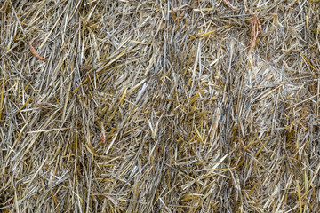 Weathered bale of hay  (straw) closeup background.