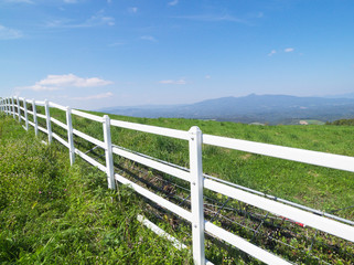 Fototapeta na wymiar 牧場の白い柵