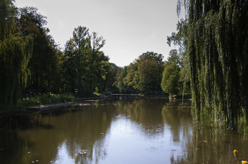 Fototapeta na wymiar The Pond