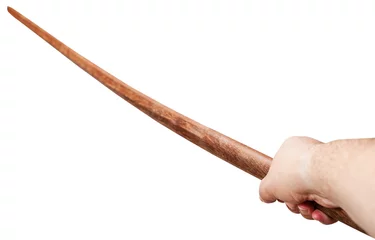 Foto op Plexiglas arm with Bokken - Japanese wooden sword © vvoe