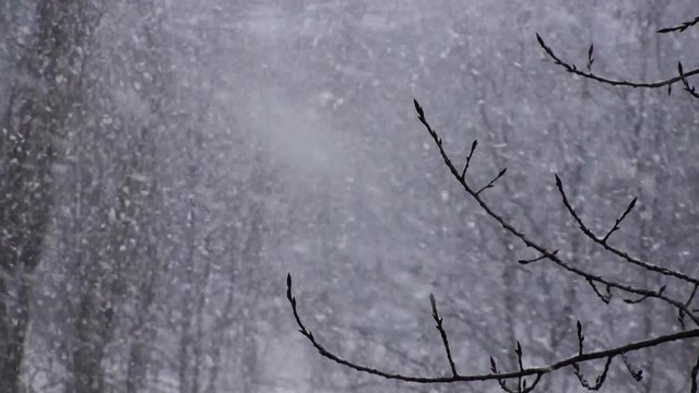 Winter Snowflakes Snow Background Video...You can use this snowing video in your original cold season projects or as websites background