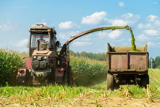 harvesting corn crop with tractor