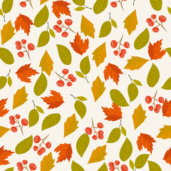 Autumn leaves fall on background vector illustration.