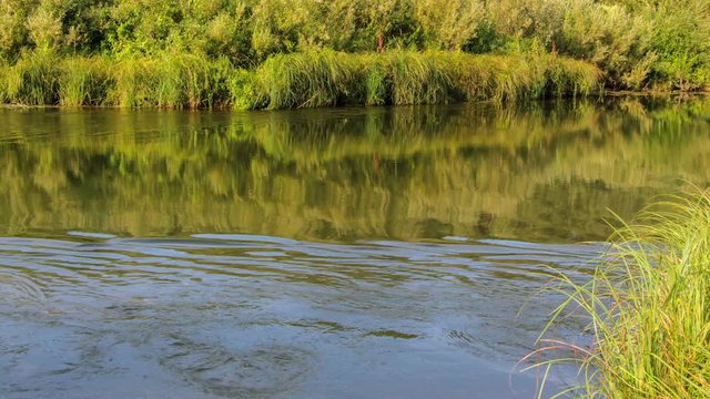 Water in the river flowing