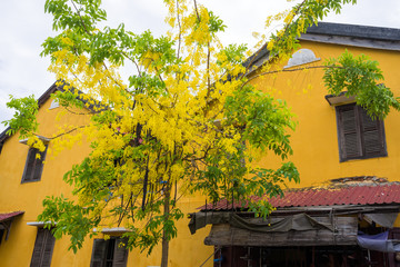 Old houses in UNESCO world heritage Hoi An ancient town