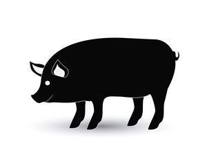 Pig icon. Animal farm and nature theme. Isolated design. Vector illustration