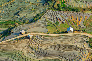 Beautiful terraced rice field in Lao cai province in Vietnam