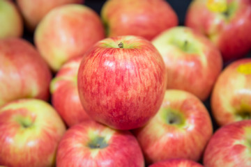 Fototapeta na wymiar Red and yellow fresh apples.