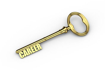 Career key