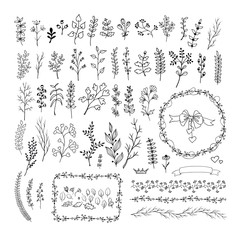 Floral vintage hand drawn vector collection