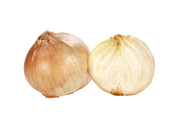 Obraz premium close up shot of onions