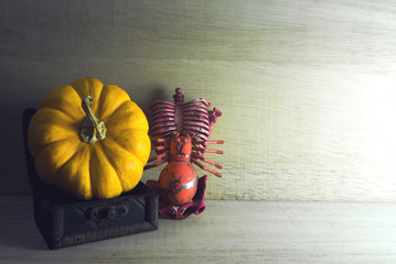 pumpkin in casket and skeleton spider