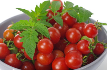  cherry tomatoes in grey  plate
