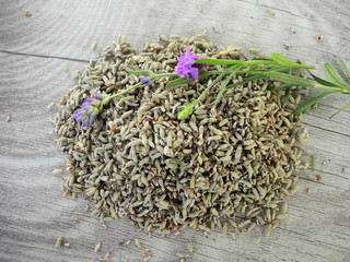 Getrockneter und frischer Lavendel