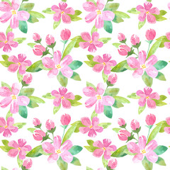 Floral seamless pattern with apple flowers and buds.Watercolor hand drawn illustration.White background.