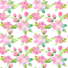 Floral seamless pattern with apple flowers and buds.Watercolor hand drawn illustration.White background.