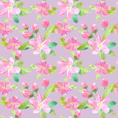 Fototapeta premium Floral seamless pattern with apple flowers and buds.Watercolor hand drawn illustration.Pink background.