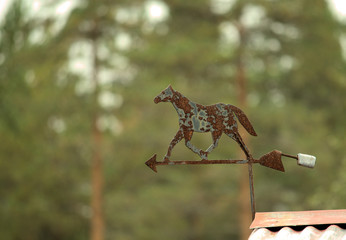Weather vane