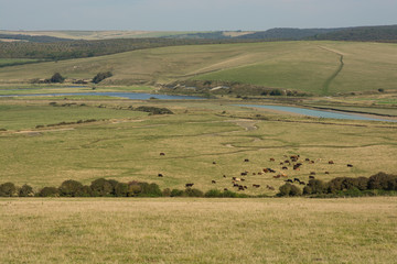 Obraz premium Cuckmere Haven in East Sussex, England