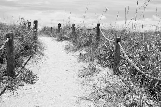 Sandy pathway to Turtle Beach in Siesta Keys, Florida.