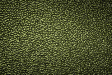 Green leather texture or leather background for design with copy space for text or image.