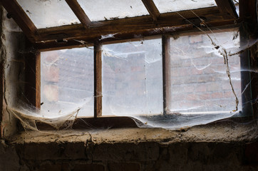 old window overgrown with spider web