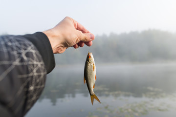 fish on a hook against the background of the river