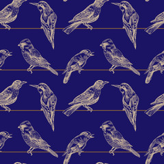 seamless pattern birds