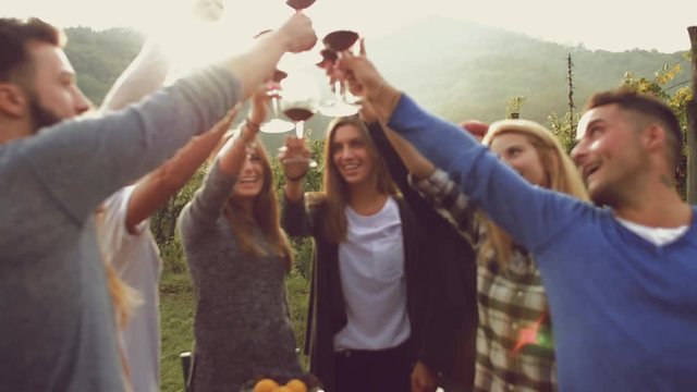 Group of friends toasting with red wine in the vineyard
