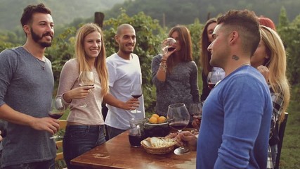Group of friends toasting with red wine in the vineyard
- Powered by Adobe