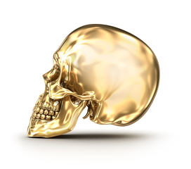 Golden human skull over white , 3D illustration