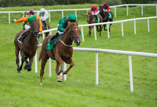 Jockeys and race horses galloping around the track during a race