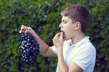 boy eating blue grapes in nature