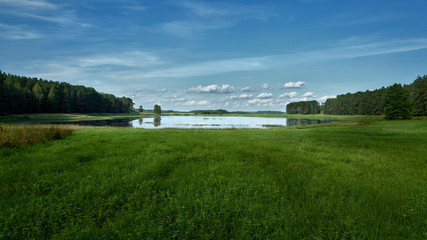 panorama of summer lake on the background forest and blue sky