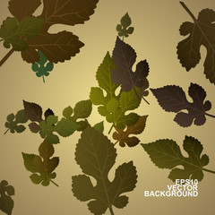 Colorful Autumn Leaves Background