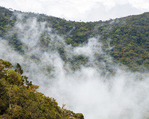 misty hills at hortan plains national park