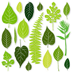 Obraz premium Green leaves set on white background vector