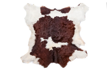 Cow fur (skin) background or texture