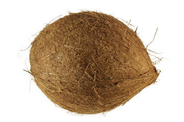 Coconut