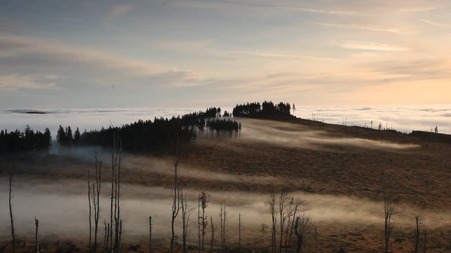Mountain hill with moving fog in the forest between trees in the morning, Sumava, Czech republic 