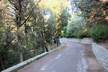 Typical crimean winding walkway with pine trees and with retaini