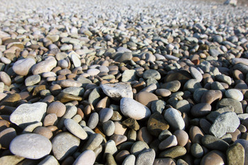 perspective view of beautiful dry round colored sea pebbles on p