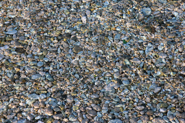 multicolored pebble sea bottom under clear water of Black sea in