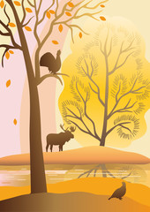 Autumn landscape with trees, river, birds, elk. Capercaillie sitting on a tree.