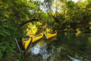 Fotobehang Yellow kayaks on the river Cetina, surrounded by green trees, Omis, Croatia © larauhryn